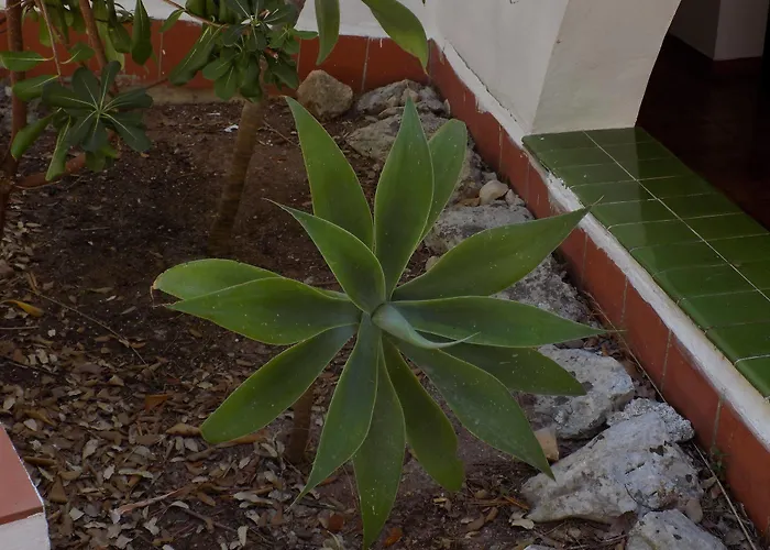 Encanto Del Mar Hotel Cala Galdana (Menorca)